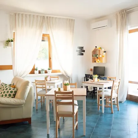 Pura نويكاتارو