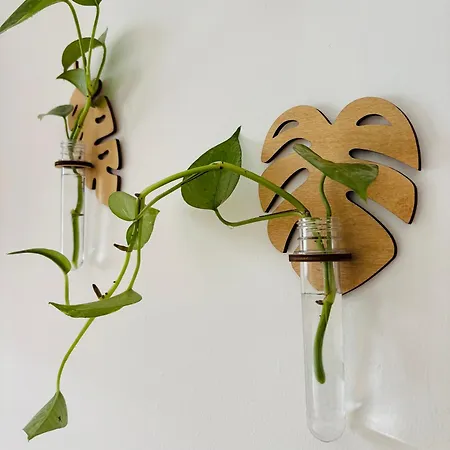 Pura Couette-café Noicàttaro