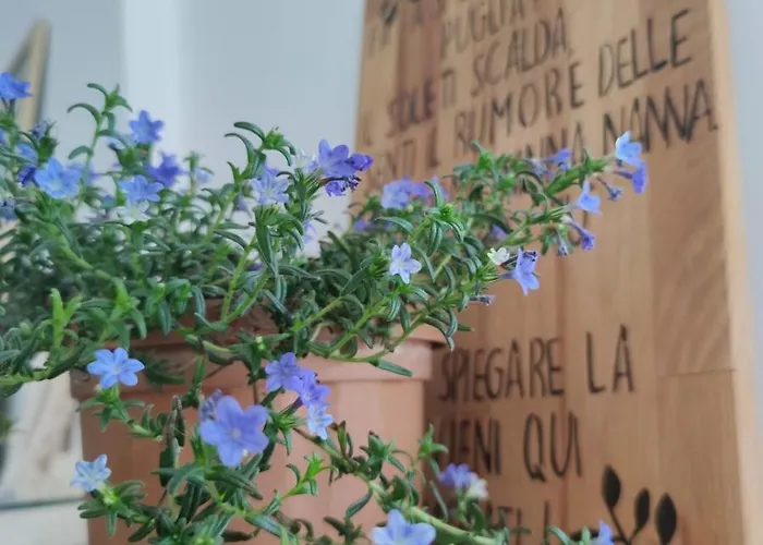 Couette-café Pura Noicàttaro