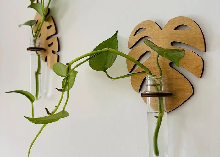 Pura Couette-café Noicàttaro